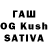 Псилоцибиновые грибы Psilocybe Chinmaya Sahoo